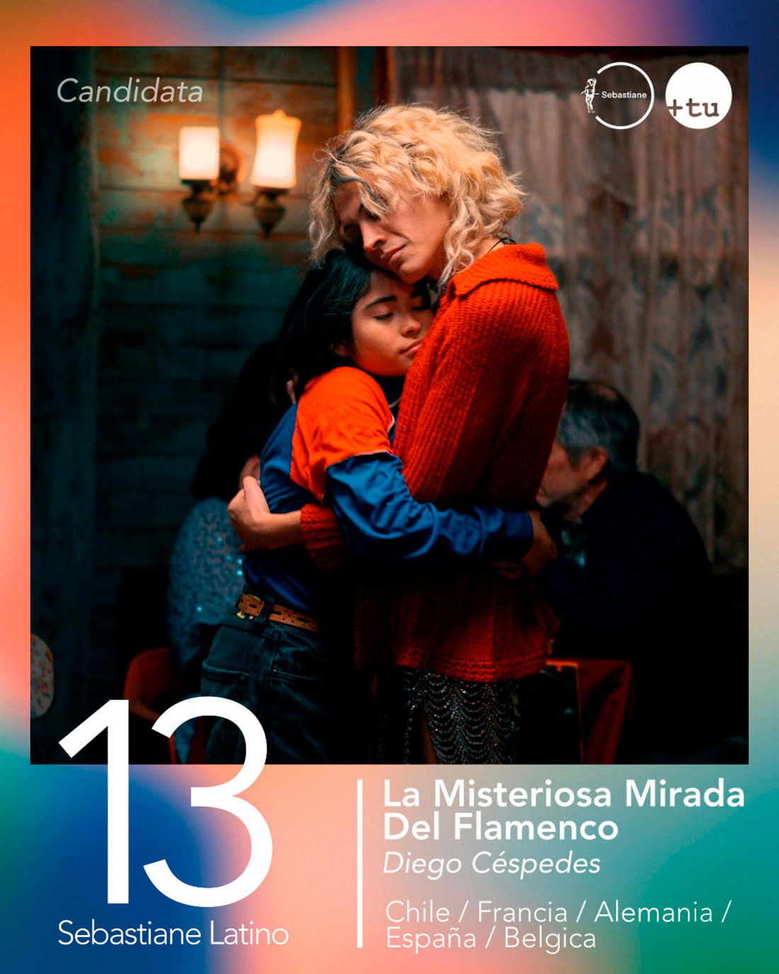 'La misteriosa mirada del flamenco'
