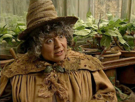 Miriam Margolyes en 'Harry Potter'