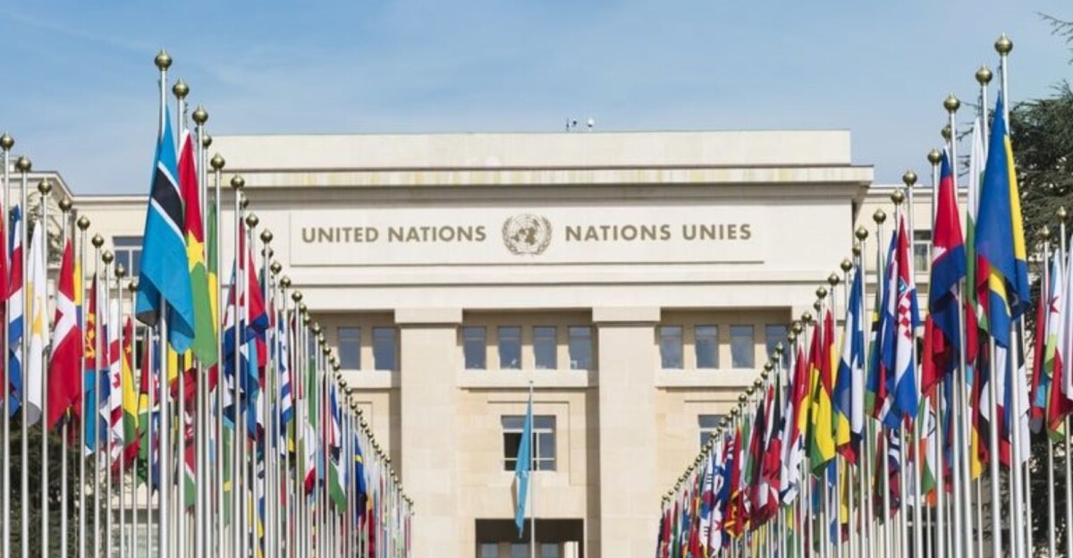 Un informe de la ONU afirma que la disforia de género es "socialmente contagiosa"