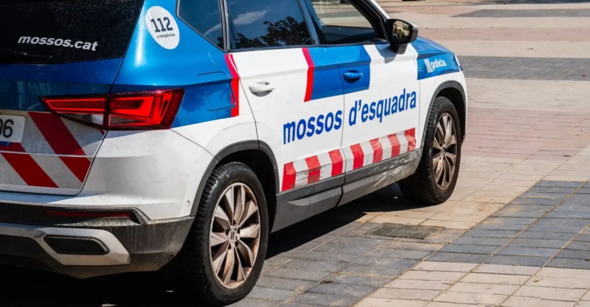Los mossos d'esquadra detuvieron a los agresores el 16 de julio