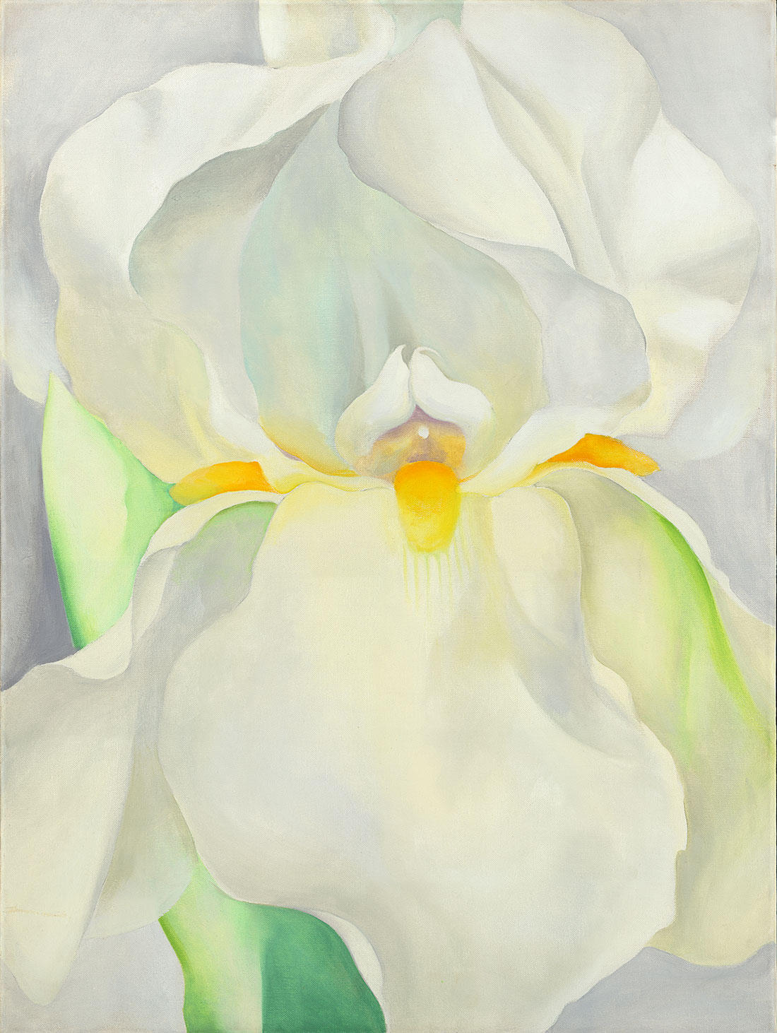 'Lirio blanco'. Georgia O'Keeffe
