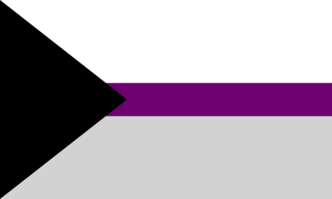 Bandera del orgullo demisexual