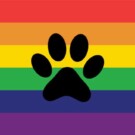 Bandera del orgullo furro