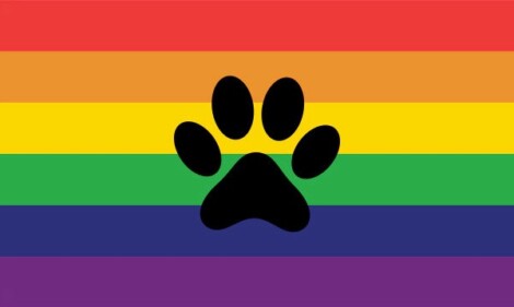 Bandera del orgullo furro
