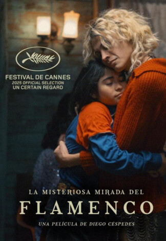 Cartel 'La misteriosa mirada del flamenco'