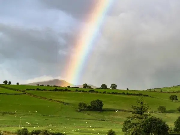 Orgullo rural