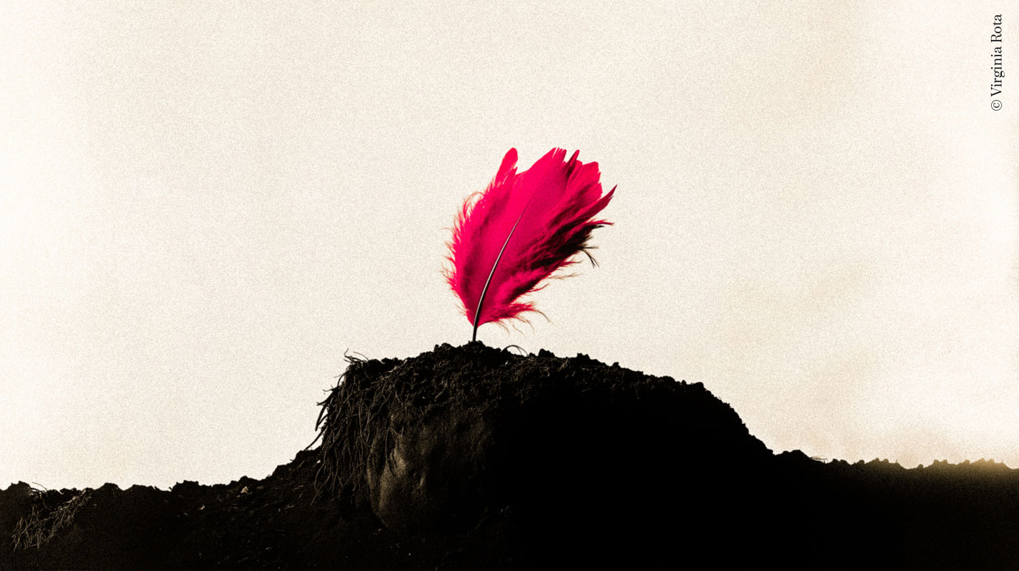 '_pluma' de Anto Rodríguez 