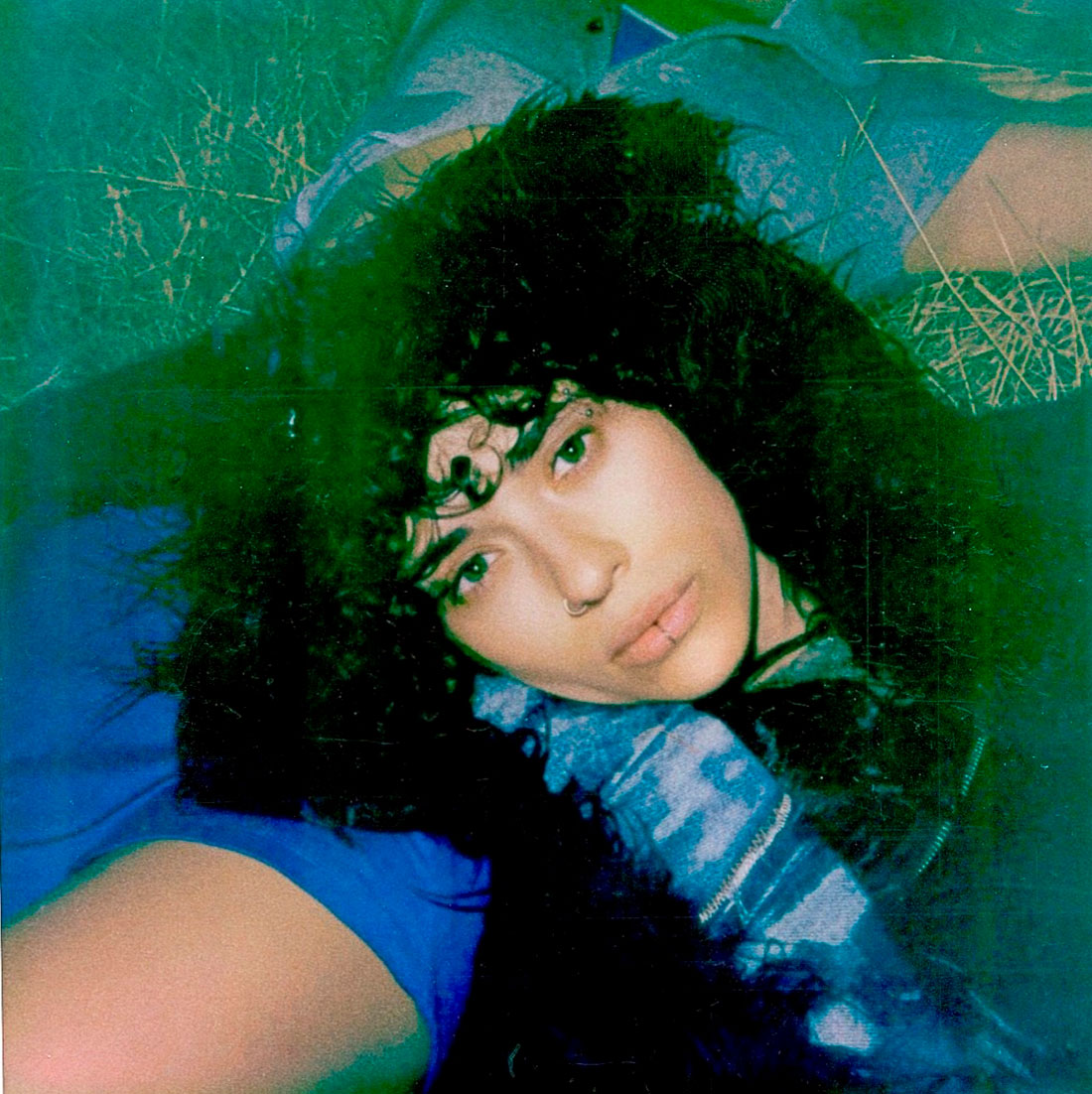 Alice Wonder
