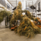 'Semillas nómadas' de Ikefrana en el Palacio de Orive de Córdoba (FLORA 2025)