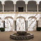 'Arbor' de Paula Anta en el Museo Arqueológico de Córdoba (FLORA 2025)