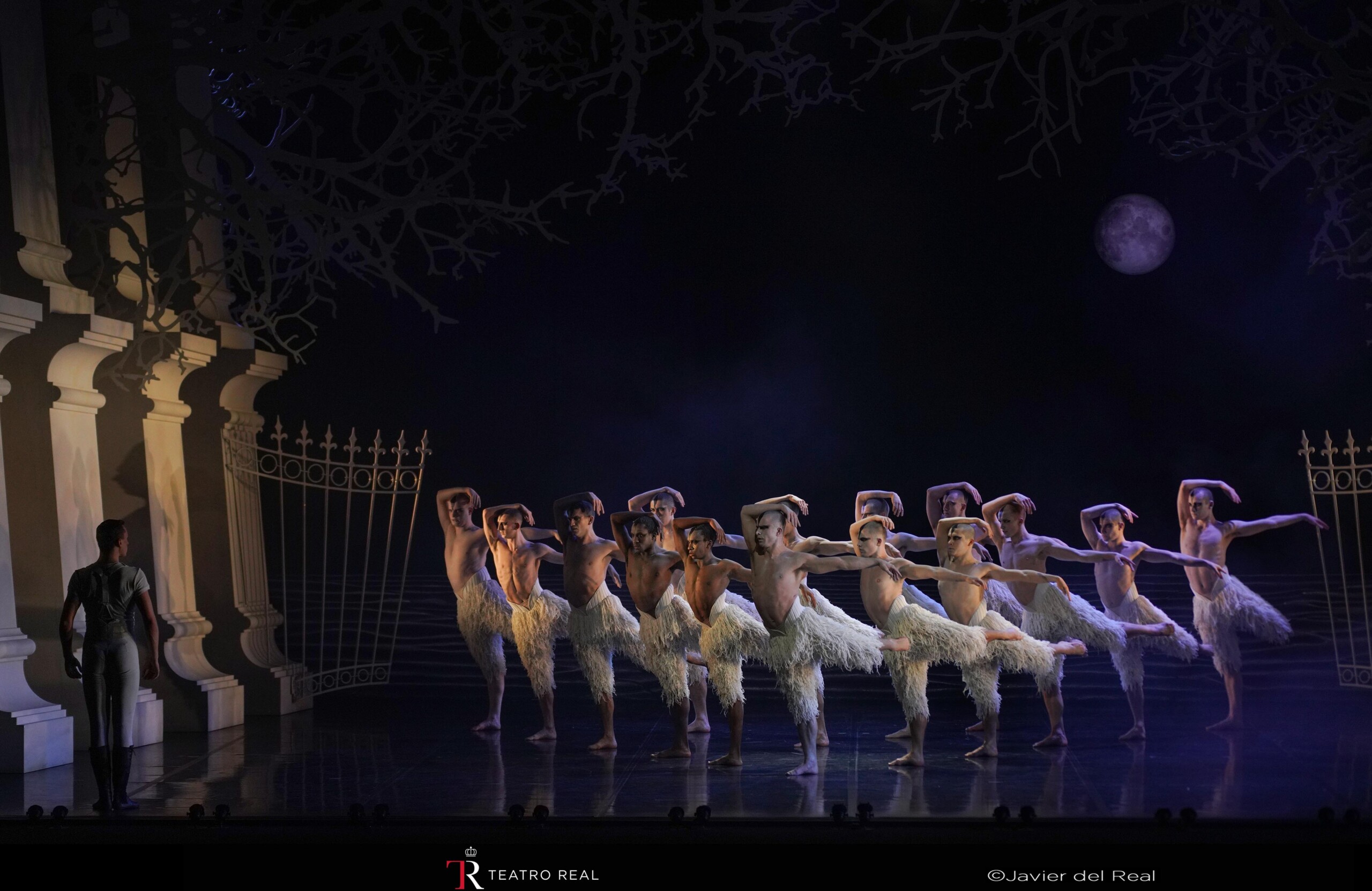 El lago de los cisnes: la nueva generación. Teatro Real.