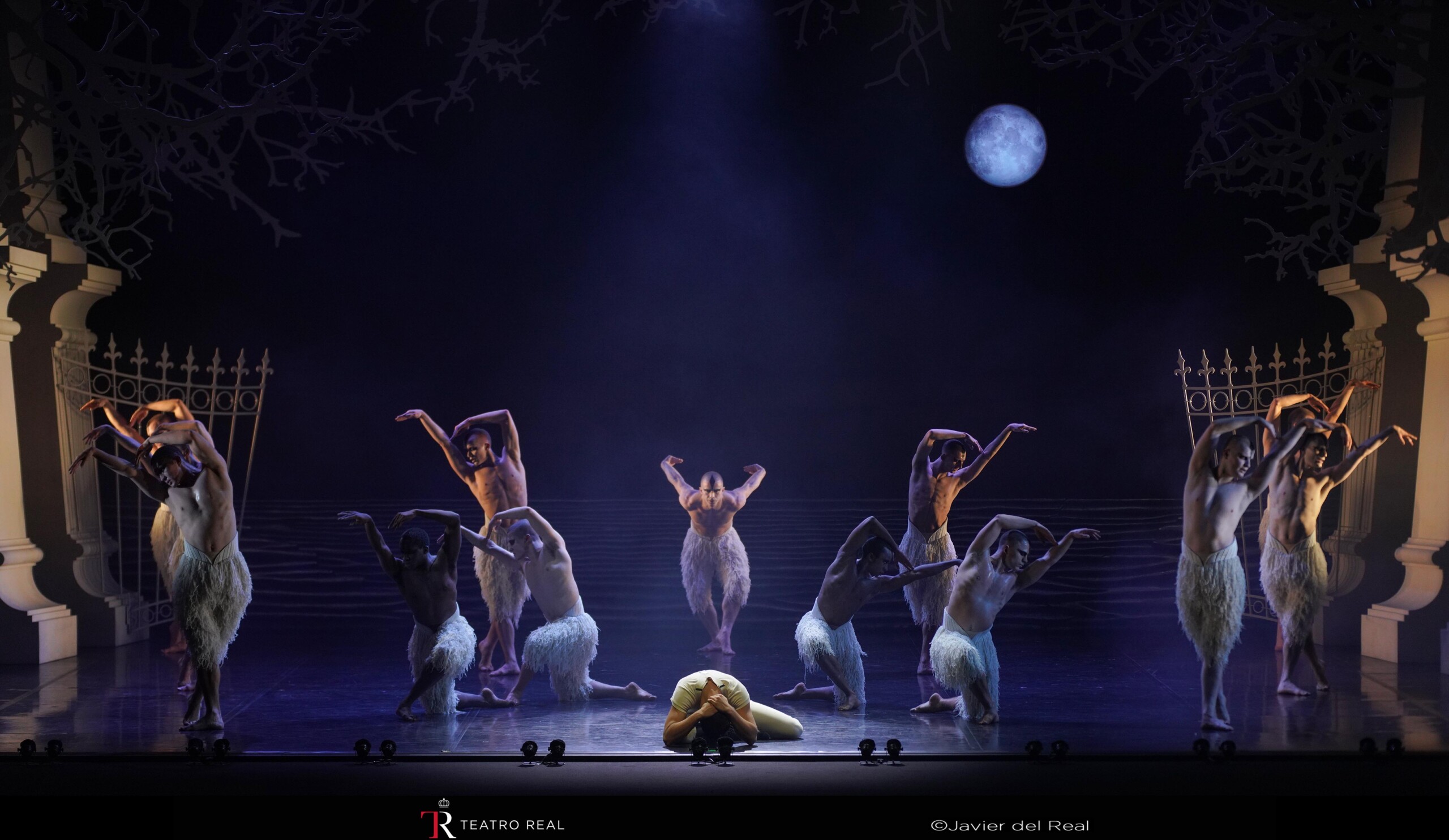 El lago de los cisnes: la nueva generación. Teatro Real.