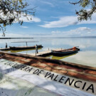 La Albufera (València).