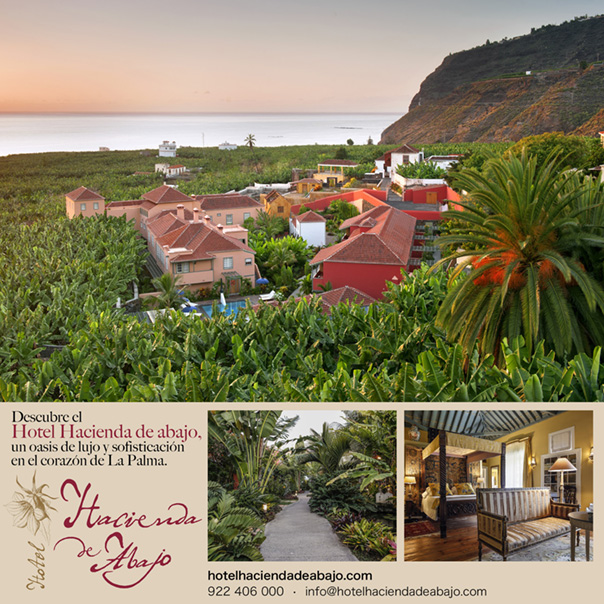 Página 37 de la revista 