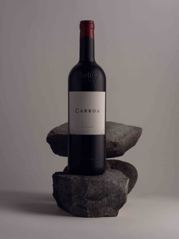 Carroa 2021 de Bodegas Protos.
