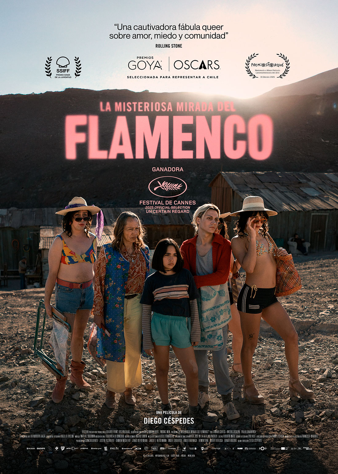 Cartel La misteriosa mirada del flamenco