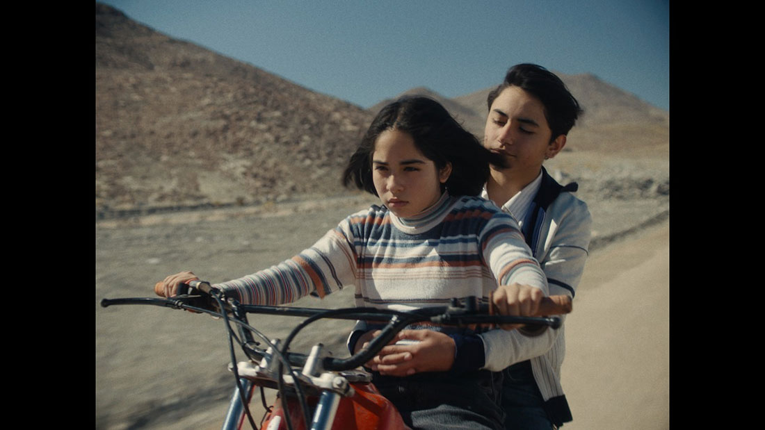 'La misteriosa mirada del flamenco'