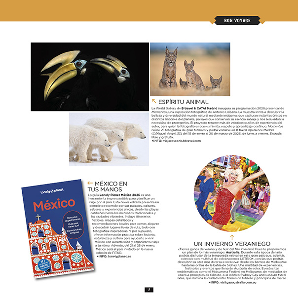 Página 5 de la revista 