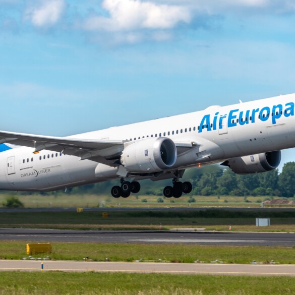 Air Europa saca tu lado más salvaje en Johannesburgo