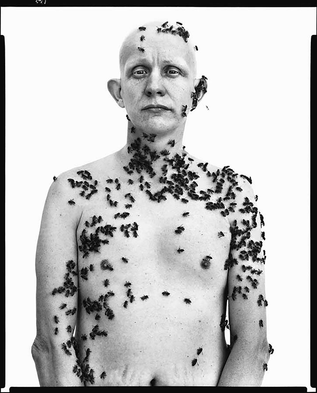 Richard Avedon. “Ronald Fischer, beekeeper. Davis, California. May 9, 1981”