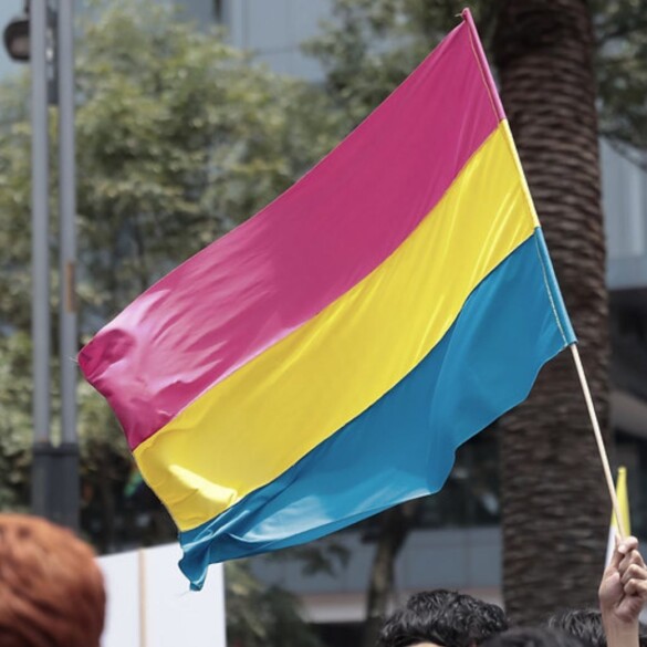 El domingo 24 de mayo se celebra el Día de la Visibilidad Pansexual
