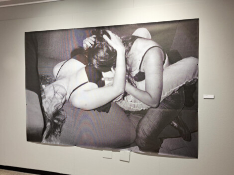 Obra de Luciana Lardiés en la exposición.