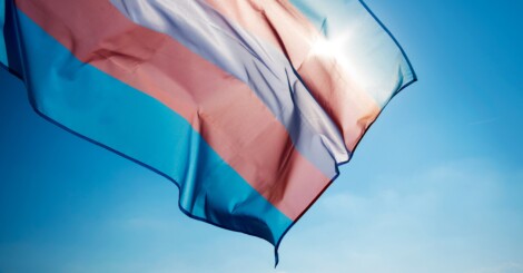 Bandera trans.