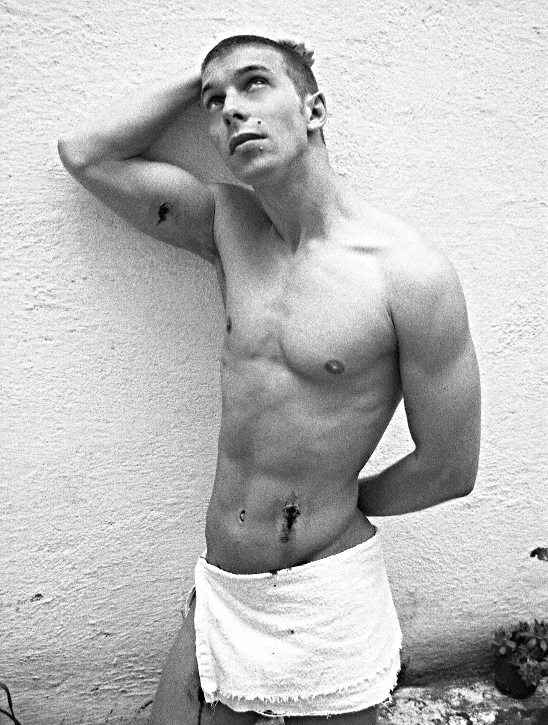 David Trullo