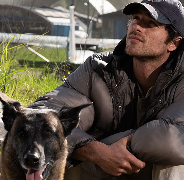 'La constelación del perro', una historia de esperanza y resiliencia con Jacob Elordi